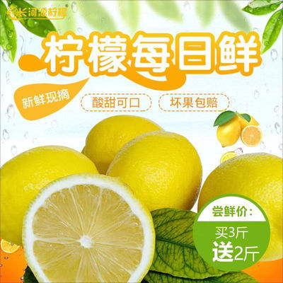 安岳黃檸檬 鮮采直銷，應季好果，多規格批發之選